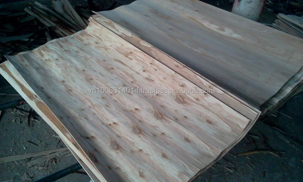 Rotary cut Eucalyptus veneer 100%A grade export to Philippines market