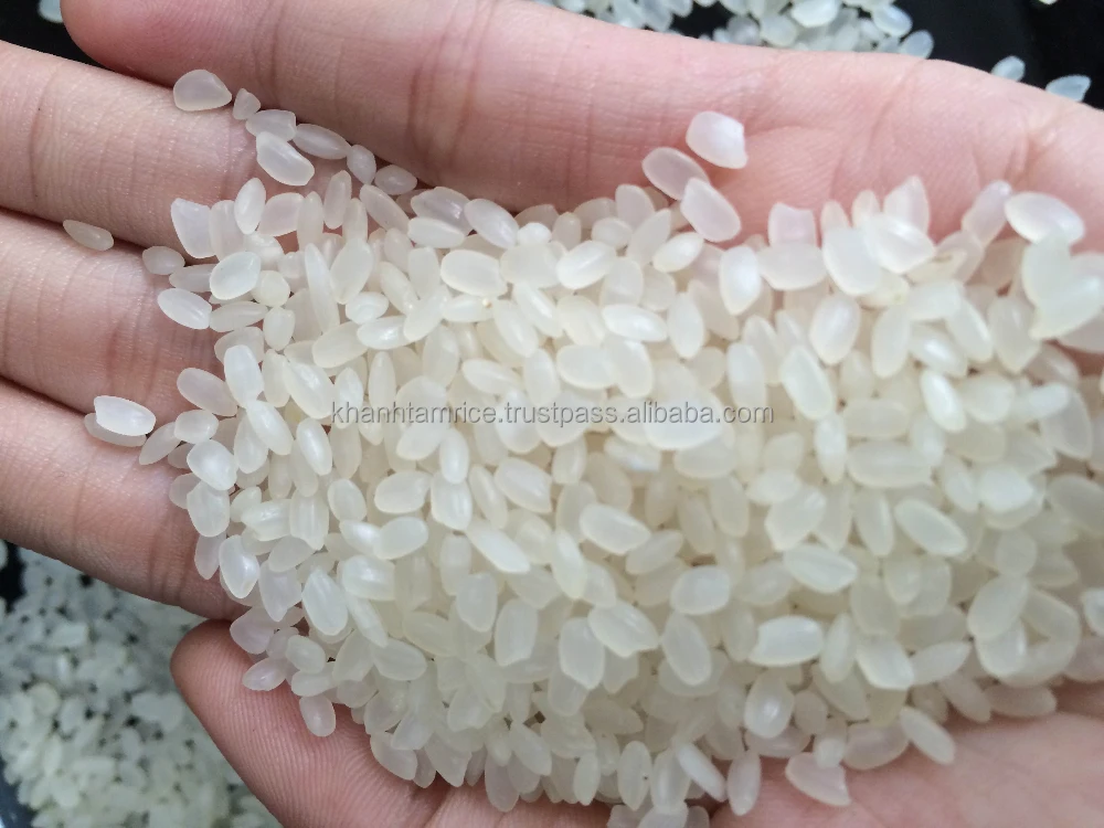 Wholesale Premium Quality Short-Grain Rice White Color Japonica Rice Vietnam Best Supplier