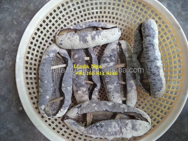 Сушеный морской огурец/цена сушеного морского огурца/+ 84 2835119589