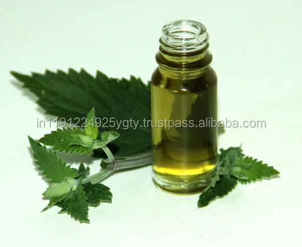Pure Natural Plant Extract Essential Oils Pharmaceutical Raw Material Catnip Essential Oil Nepeta Oil From India