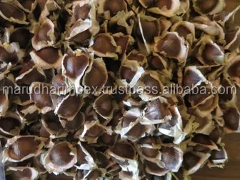 Семена Моринги, лучшее качество в Индии