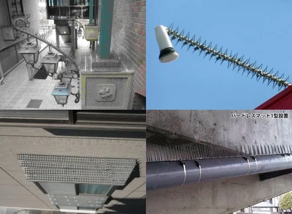 Live bird trap Spike for birds to keep clean environment without pollution caused by birds.