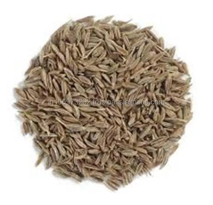 Natural and Pure Cumin Essential Oil