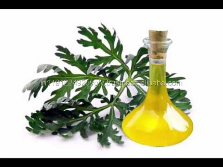 Steam Distilled Extracted Essential Pure Natural Wormwood Oil