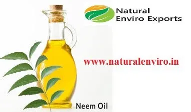 Organic Naturally Neem Seed Oil used for white flies and insecticides in Plants extracted by cold pressed method
