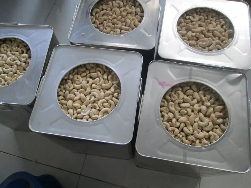 
CASHEW NUT packed in tin available all grades, WW/WS/LP/SP/BB 