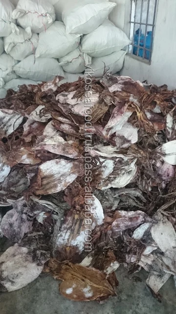 
DRIED BLACK SQUID FOR SALE 