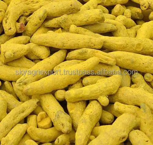
Exporters of Dried Turmeric/Turmeric Curcumin 