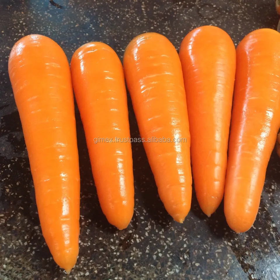 Новый Урожай свежей моркови Gimex vietnam