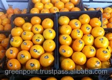  Египетский оранжевый для экспорта