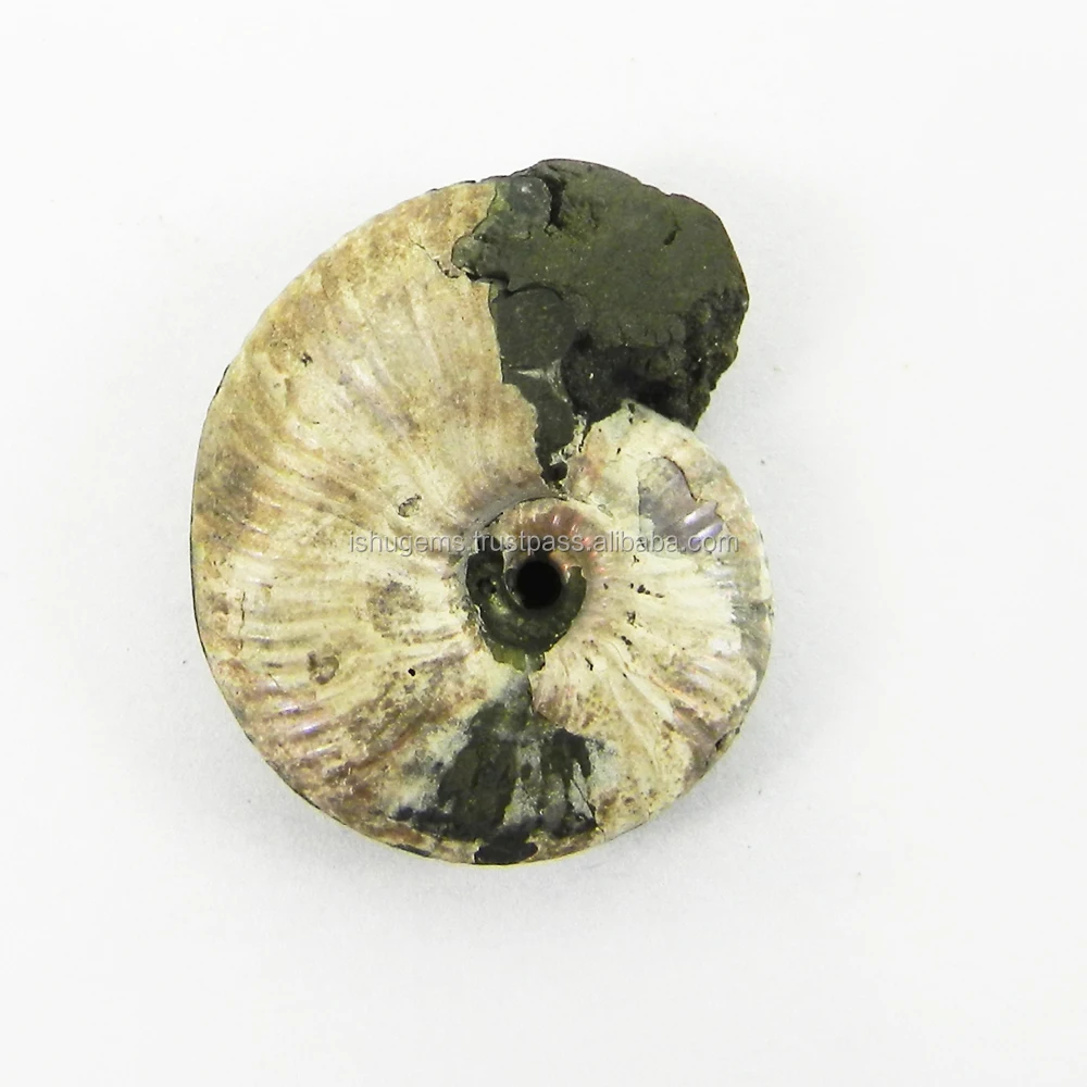 Iridescent Russian Natural Fools Gold Pyrite Ammonite 2.8X2.0cm Fancy Uneven 9.64 Gms, Semi Precious Loose Gemstone IG3285