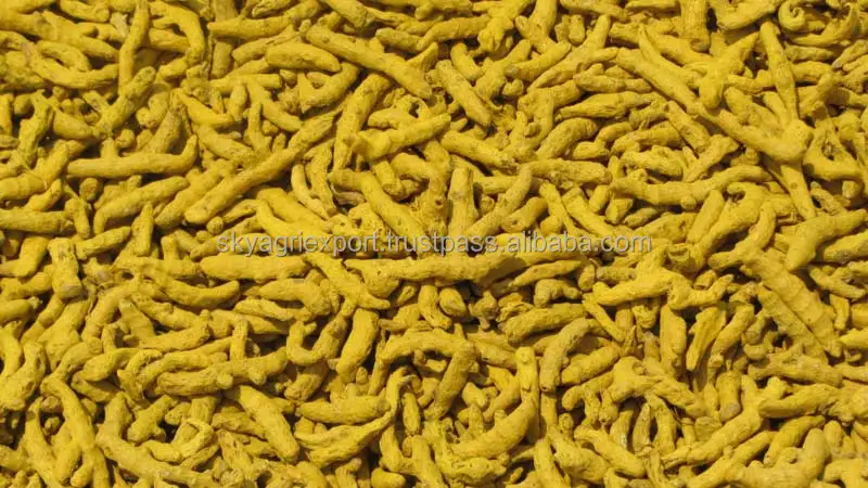 
Exporters of Dried Turmeric/Turmeric Curcumin 