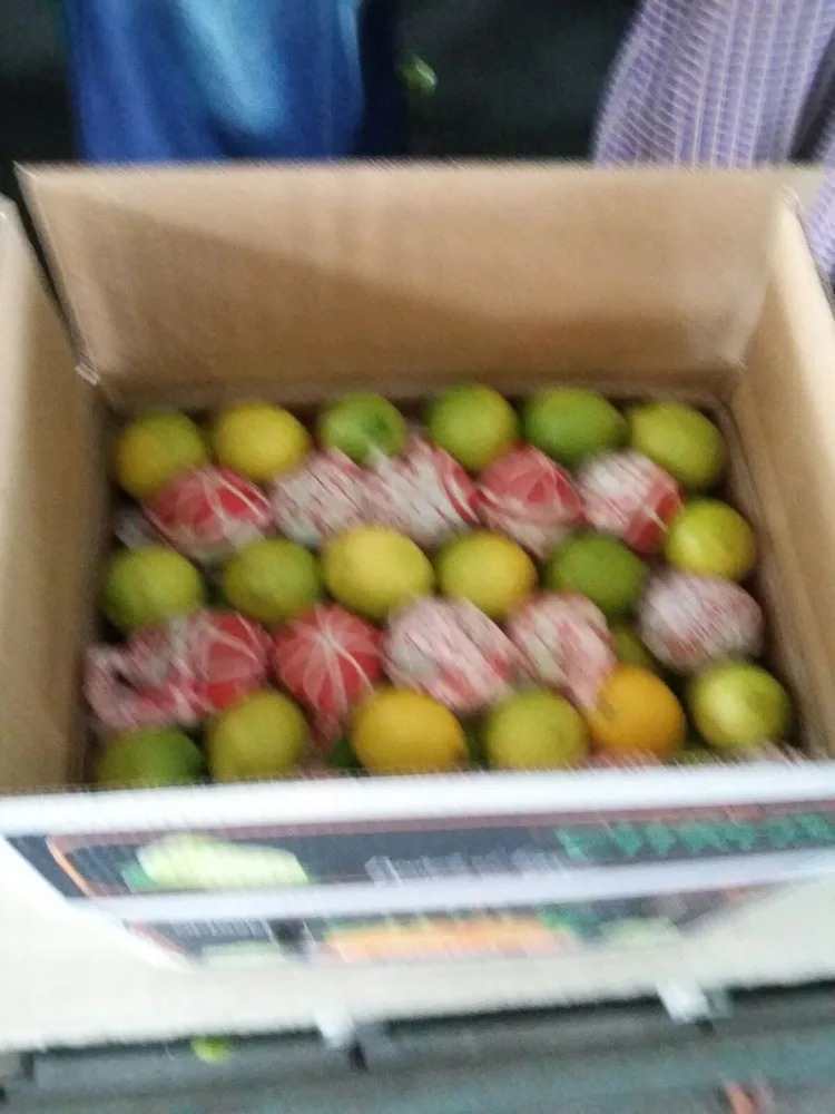 
fresh organic seedless lime 