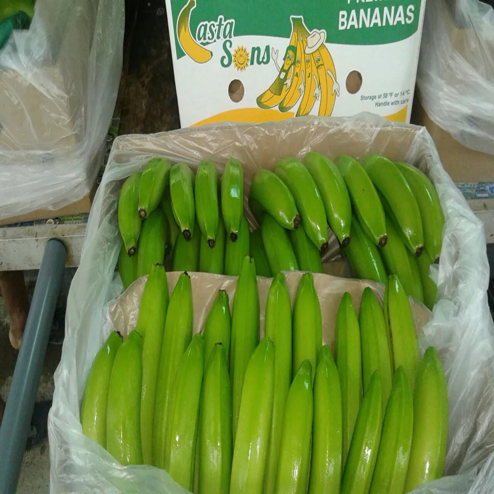 FRESH PREMIUM BANANAS