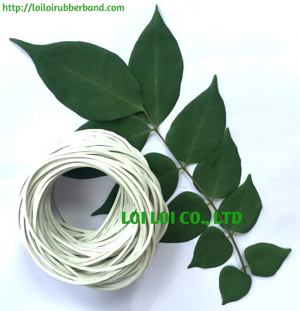 Elastic natural UV rubber band for Agricultural use - Vietnam Factory wholesale Cheap price rubber band high quality thick color