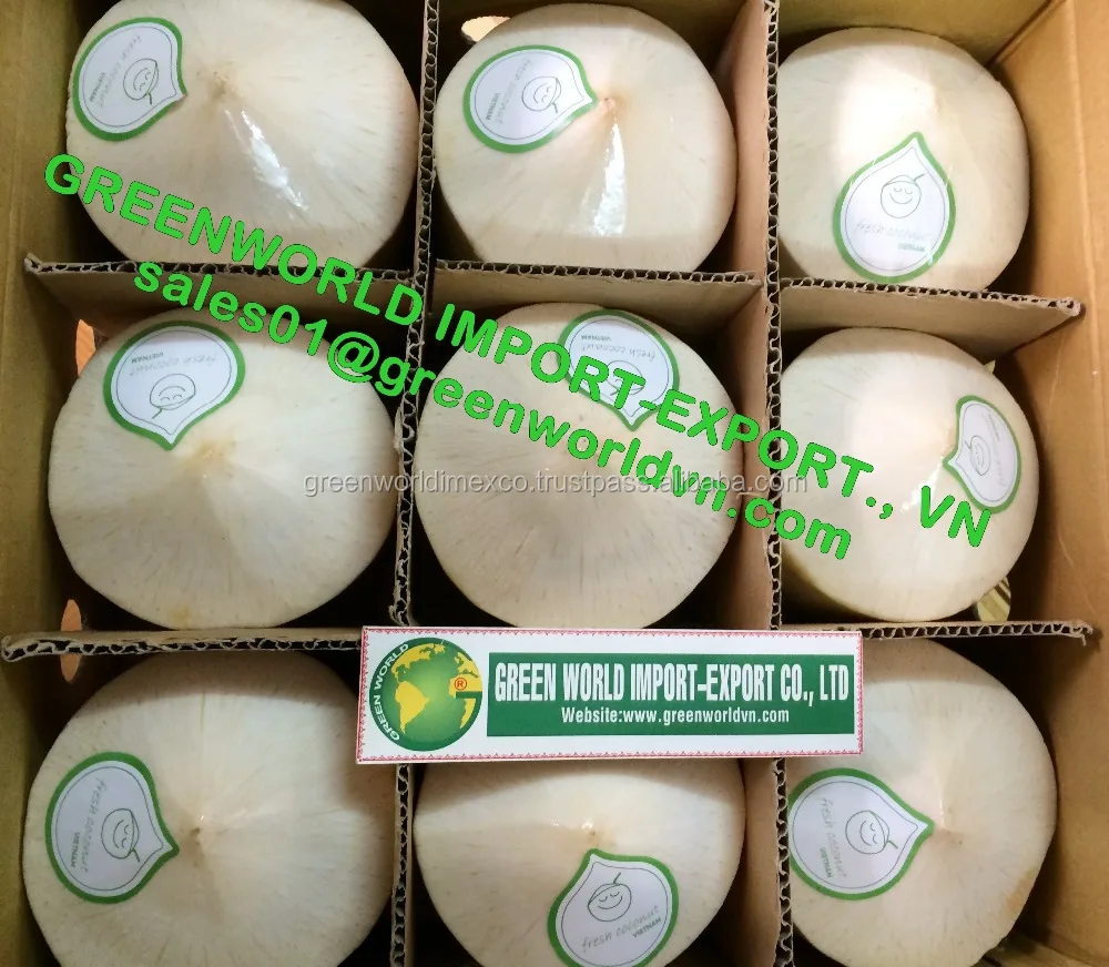 High Quality Young Coconut Vietnam Fresh Tropical COCONUT Sweet Young Fruit Water Drinking Whole Premium Quality Good Price