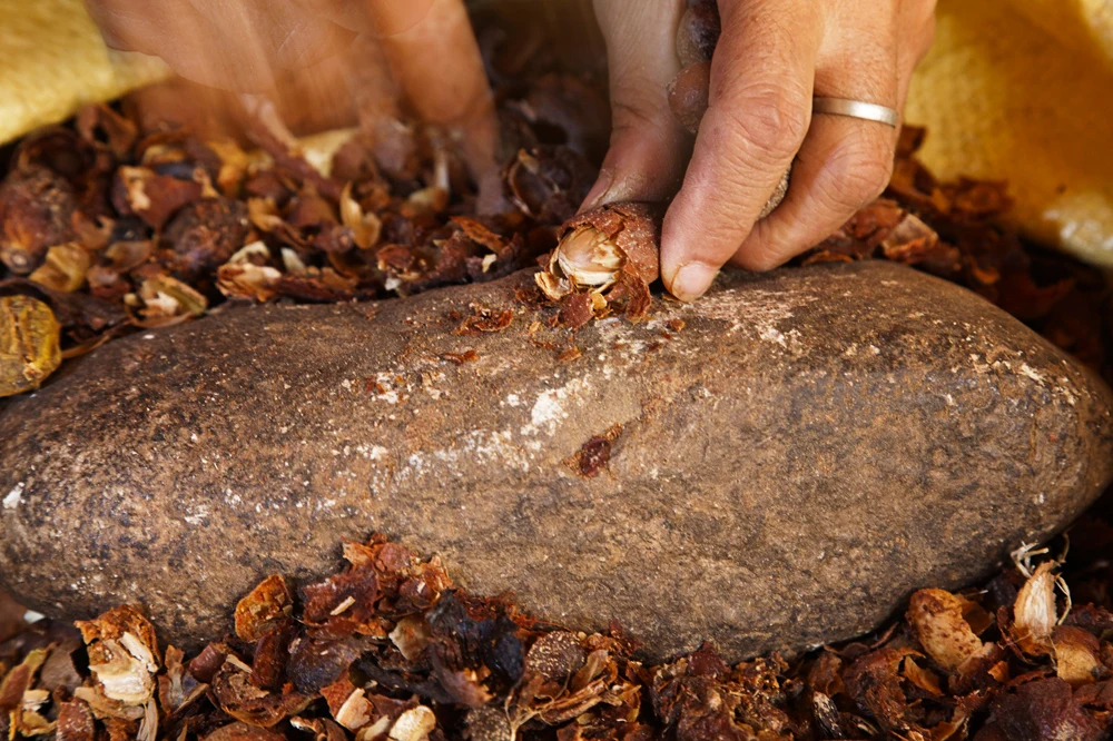 
Pure & Organic Moroccan Cosmetic Argan Oil 