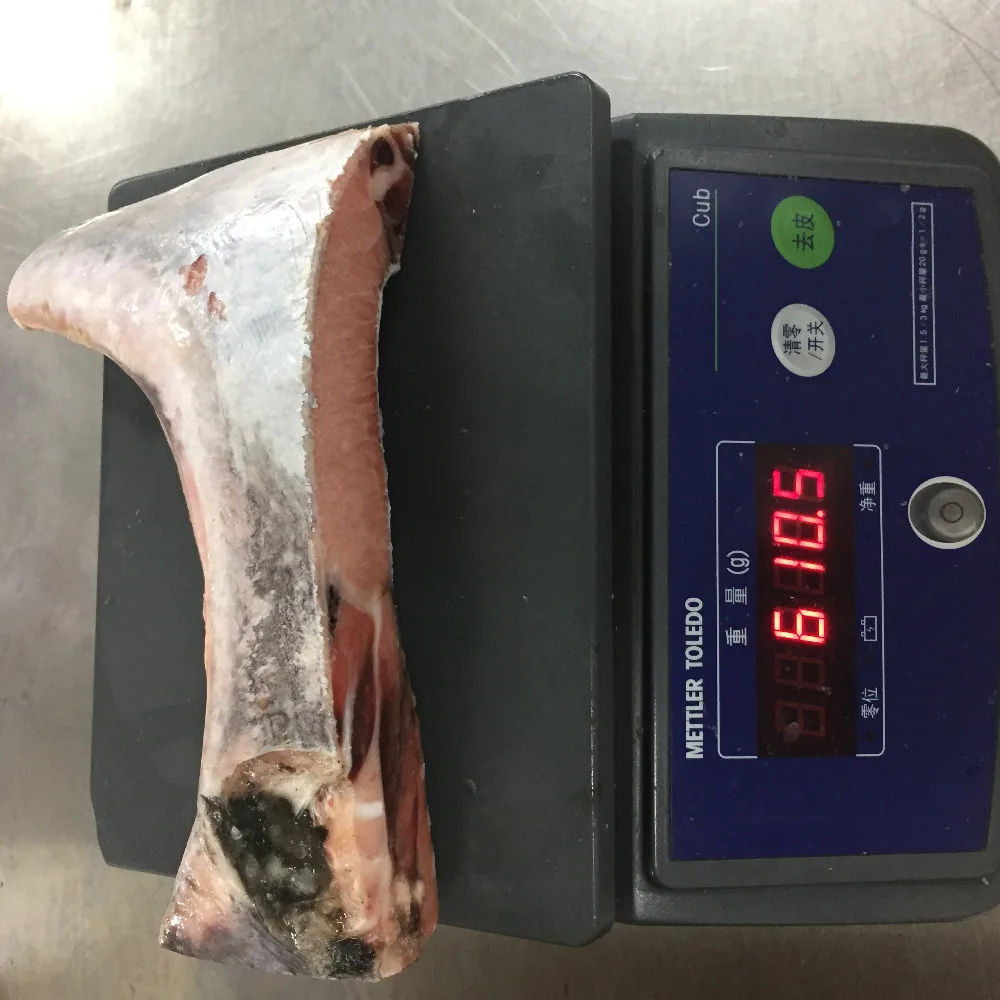 Frozen Yellowfin Tuna Collars or Kama or Panga