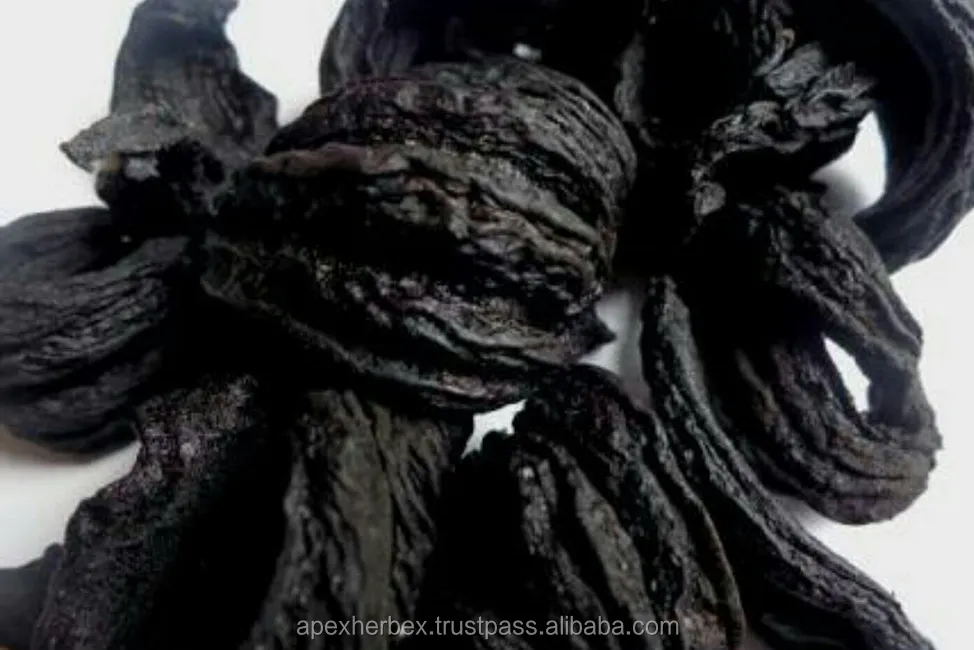 Garcinia Cambogia.Extract 40 Garcinia gummi-gutta fruit T Cut