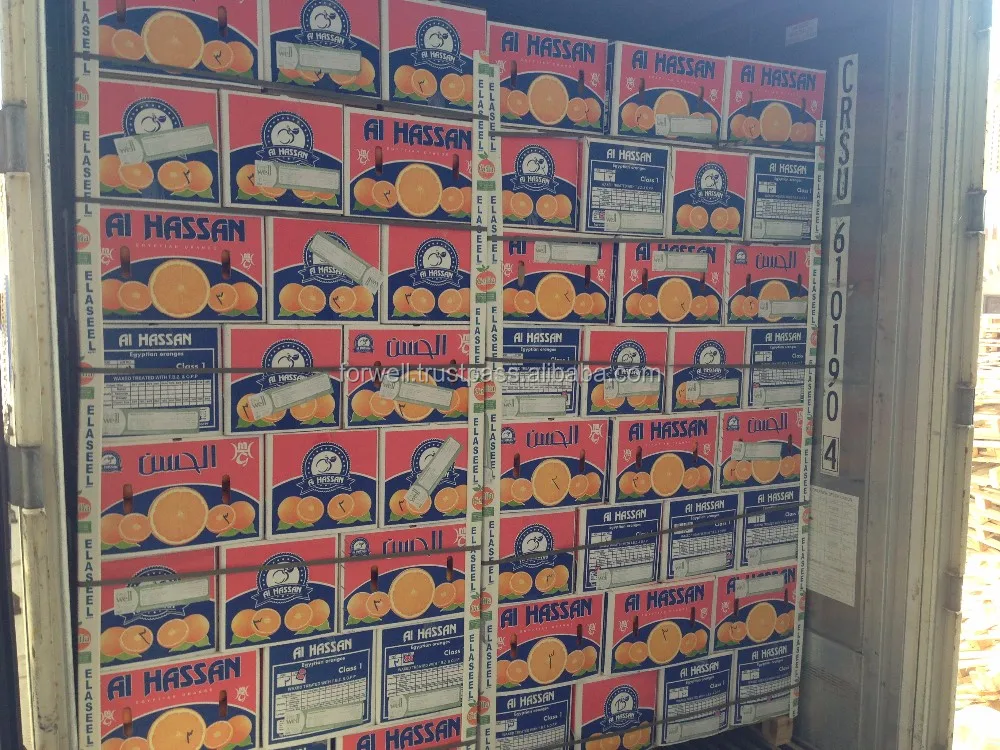 Fresh Orange Valencia /Egyptian Fresh Orange to export