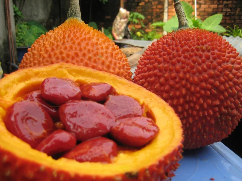 Gac Fruit (Momordica Cochinchinensis), fruit from heaven