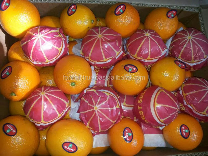 EGYPTIAN ORANGES WITH COMPETITIVE PRICES AND HIGH QUALITY(8-15) KG CARTOON