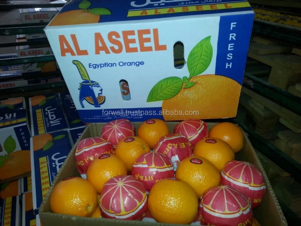 oranges carton weight 15 kg and 8 kg of Navel and Valencia Orange from Egypt