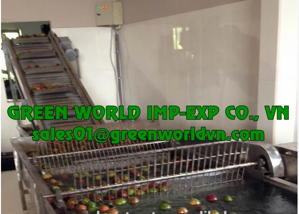 BEST PRICE OF FROZEN PASSION FRUIT FROM VIETNAM