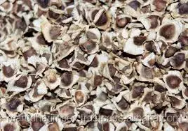 MORINGA SEEDS / SEEDS