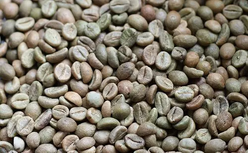 ARABICA COFFEE BEAN