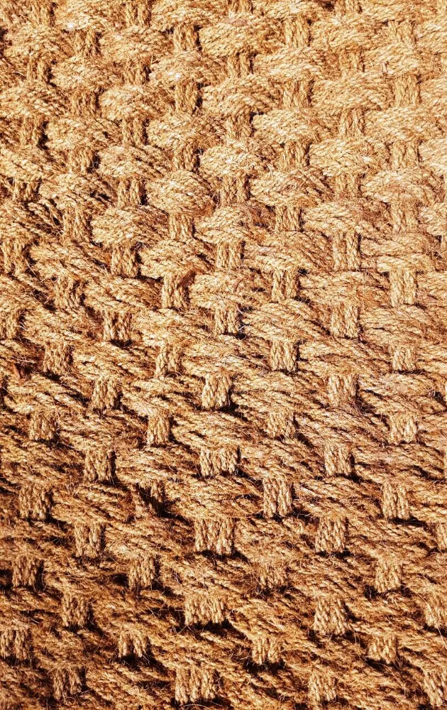 COIR is a versatile natural fibre extracted from mesocarp tissue, or husk of the coconut fruit