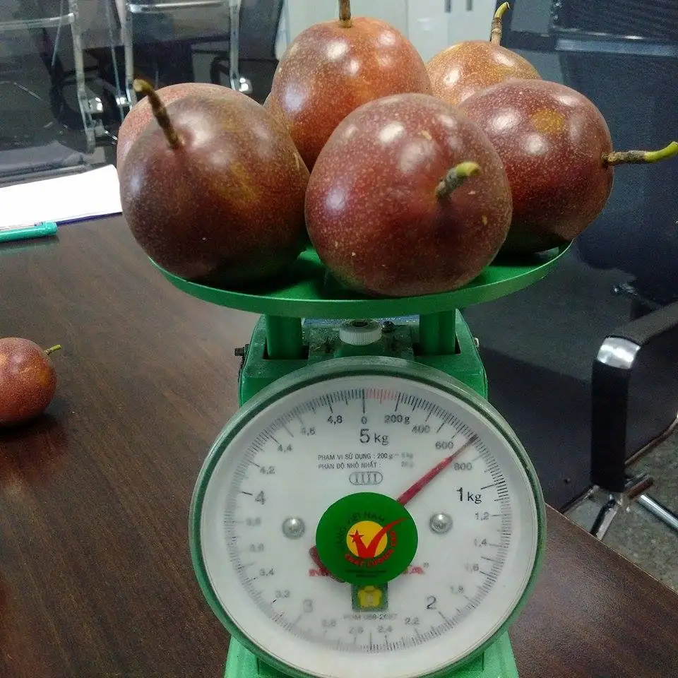 Fresh Passion Fruit/ Frozen Passion Fruit new croppest/ Ms Holiday +84 845 639 639