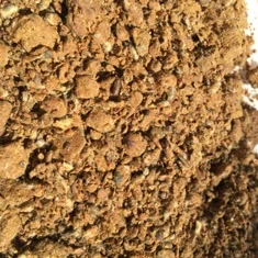 
Organic Animal Feed Cotton Seed Meal Bulk exporter 