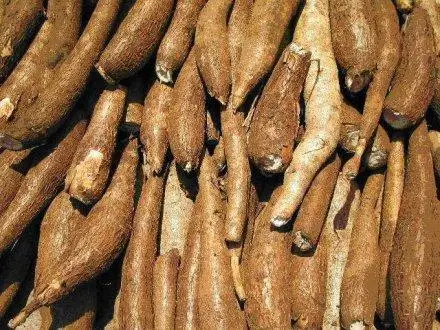Крахмал Tapioca 100% органический натуральный сделано в вьетнаме