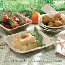 GOOD QUALITY GODS GIFT OF ECO FRIENDLY DINNERWARE ARECA PALM LEAF PRODUCTS DISPOSABLE PLATE  ONLY FROM INDIA