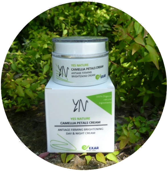 
Olive Oil Camellia based Best Firming Moisturizing Face Day Cream for Dry Skin Brightness and Remove Wrinkle 