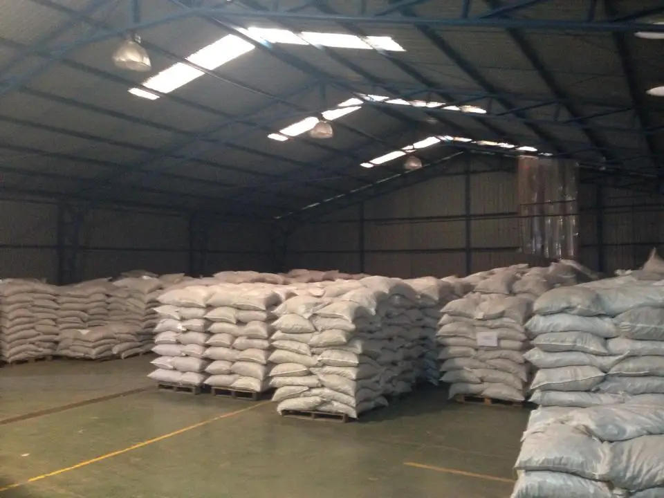 
UNWASHED ROBUSTA GREEN COFFEE BEANS GRADE 1 SCREEN 16 