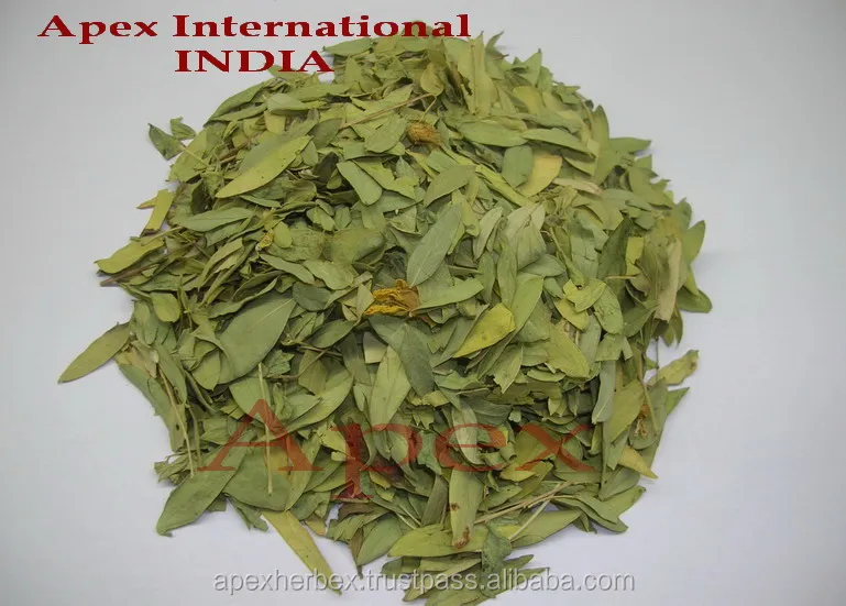 Organic Senna Leaves Senna Leaves Powder