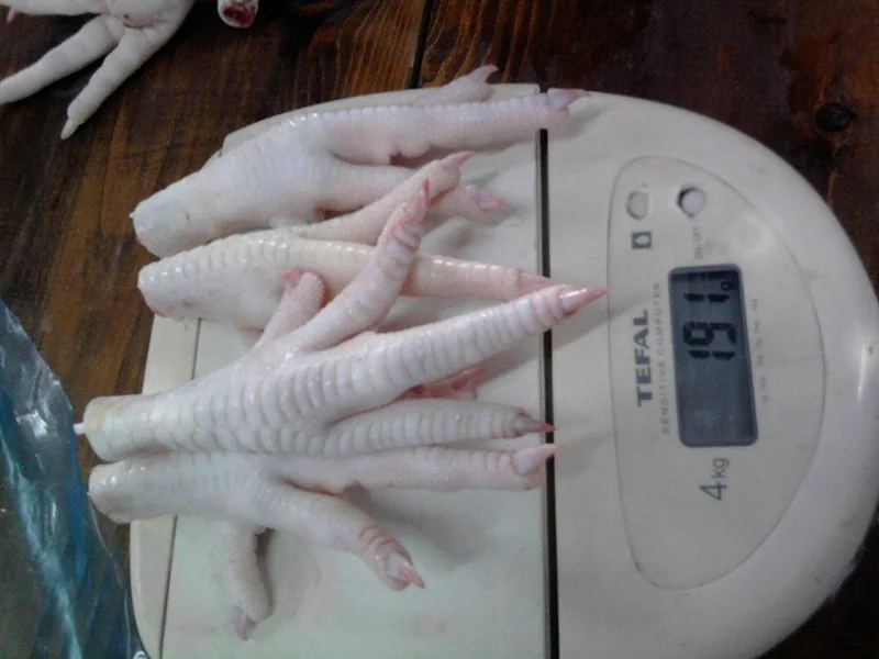 CHEAP AFFORDABLE FROZEN CHICKEN FEET / PAWS BRAZIL ORIGIN
