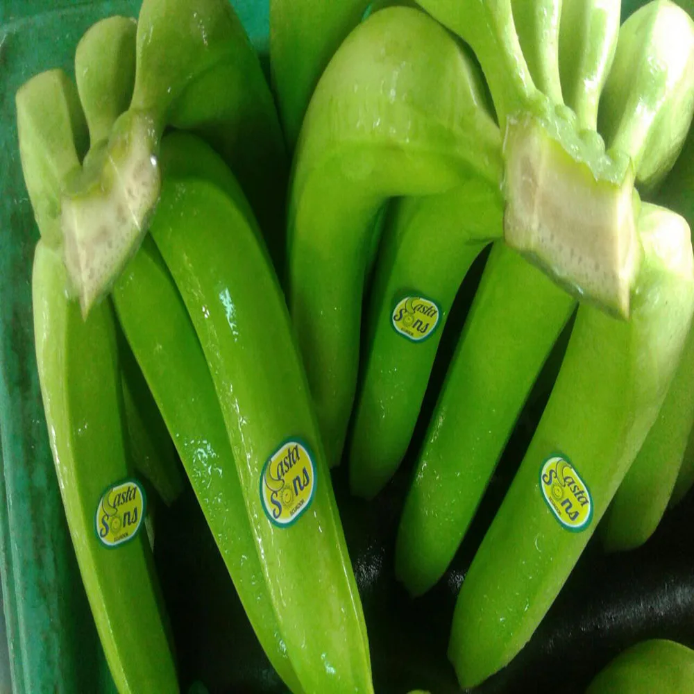 FRESH PREMIUM BANANAS