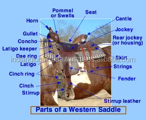 Western Saddles For Horse Riding -  Manufacturer Of Leather Saddle For Horse In India
