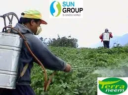 Liquid Fertilizer natural way of cold processing method with high Azadirachtin content of minimum 3500ppm to 4000 ppm