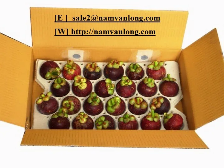 
MANGOSTEEN Fruit WITH AFFORDABLE PRICE 2021 