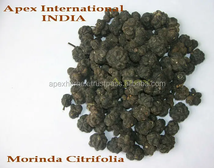 
Morinda Citrifolia Fruits Noni Fruits Dried organic Apex 