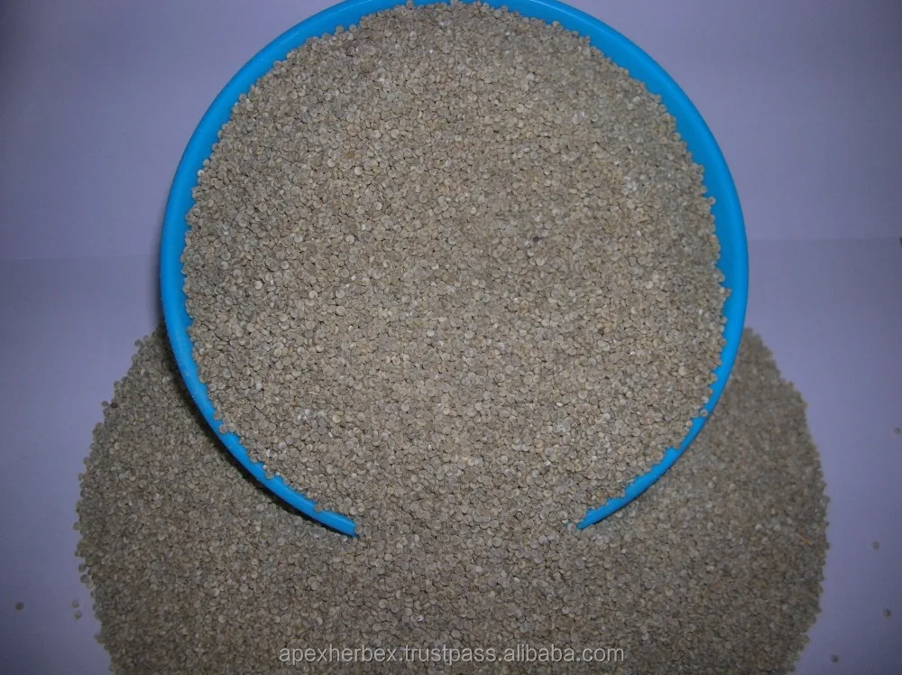 Quinoa  Chenopodium quinoa high quality cleaned Organic