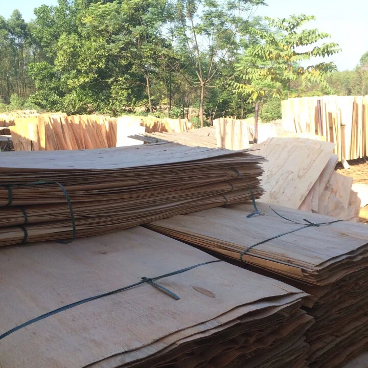 Натуральный фигурный сушеный превосходный Эвкалиптовый шпон для