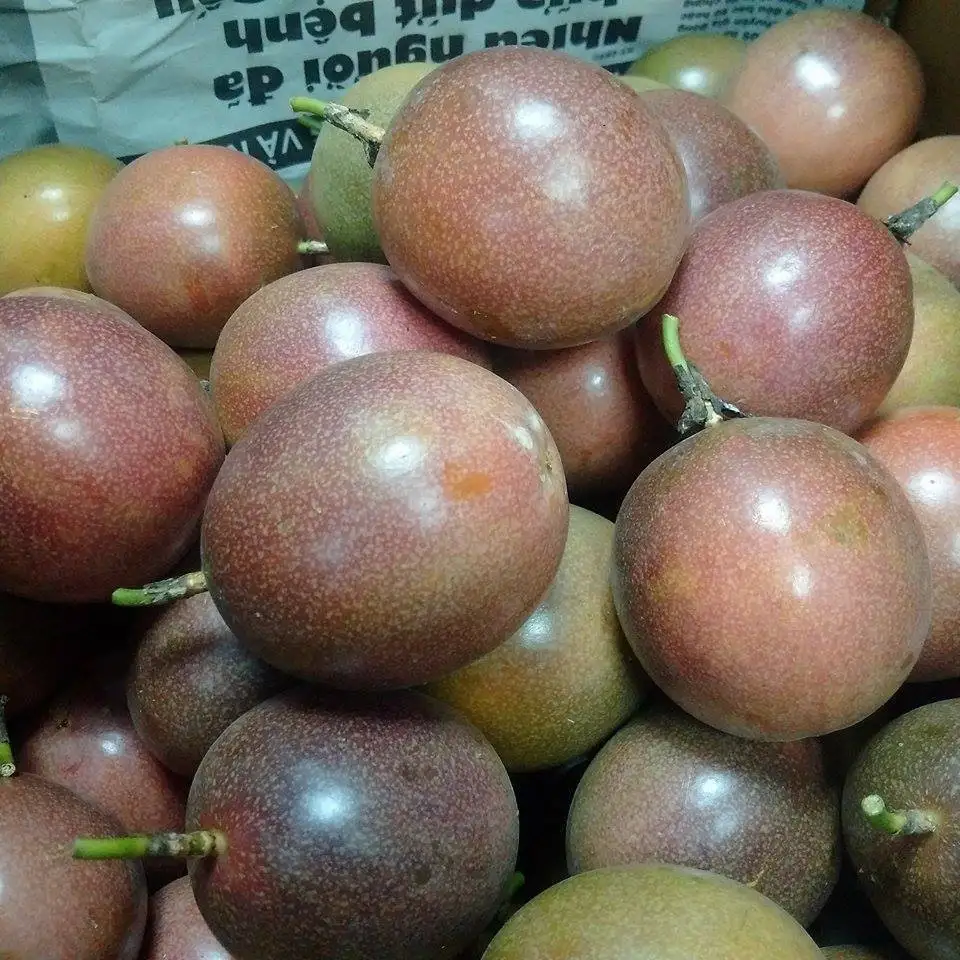 Fresh Passion Fruit/ Frozen Passion Fruit new croppest/ Ms Holiday +84 845 639 639