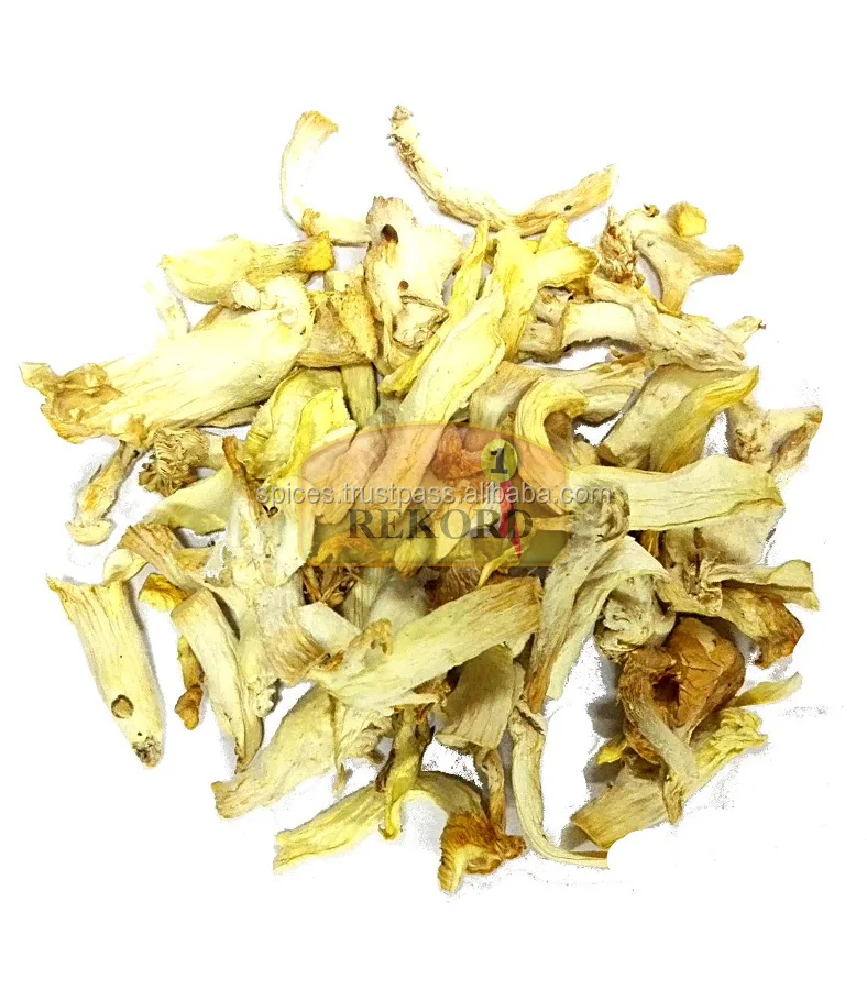 Oyster mushroom (air dried) - Pleurotus ostreatus