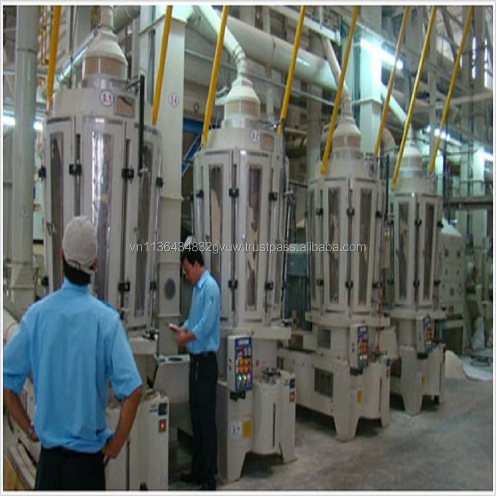 NEWEST CROP VIETNAM 10% BROKEN GLUTINOUS RICE WITH STICKY RICE