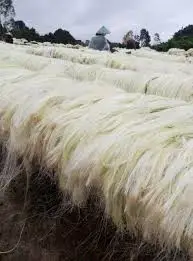 Quality Bulk Raw Cotton raw wool COTTON BALES WASTE FROM SPINING MILLS 100% COTTON BALES WASTE WITH LOGO